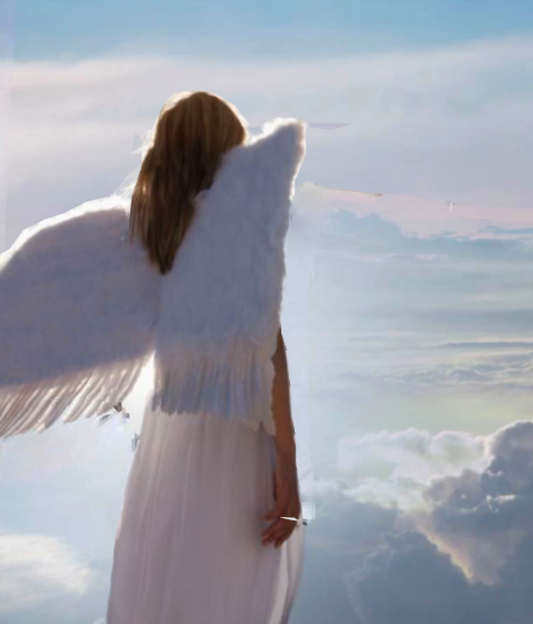 Angelic Divine Update Jun 22, 2021